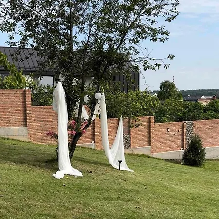 Infinity فيلة نوفي ساد